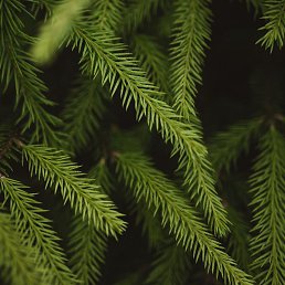 , , 28 