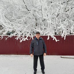 ���� �����, ����, 50 ��� - ��������� 26 ������� 2025