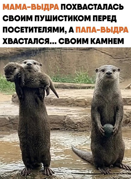 ������������ ������� ���� � ������������ ��������. � �������� ���-����� ���������� �� ����� ������ ...