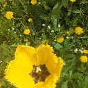 ���� ������, ���������, 57 ��� - ��������� 16 ������ 2025 � ������ ���� ����������