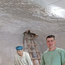 �������, 37 ���, �����