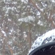 ������, 78 ���, ������