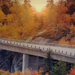 �����, �����, 33 ����