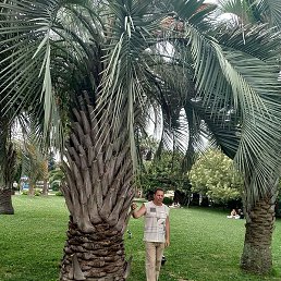 ������, ������, 63 ����