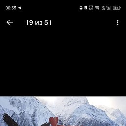 ���� �������, ������� ����, 29 ��� - ��������� 16 ������� 2025