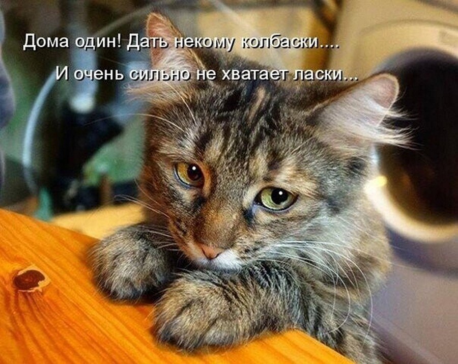 ☆   ☆ - 9  2024  14:36