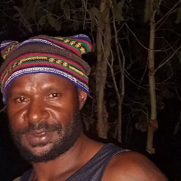 Ostine, �����������, 32 ����