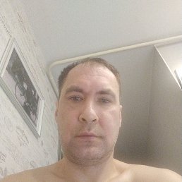 , 41, 