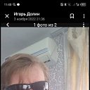 ���� �����, ������ ��������, 50 ��� - ��������� 14 ������ 2024 � ������ ���� ����������