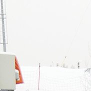 �����, 29 ���, ������