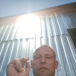 , 37, 