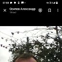 ���� ���������, ���������, 55 ��� - ��������� 31 ���� 2026 � ������ ���� ����������
