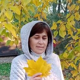 ����, ������, 56 ���