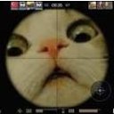  , , 25  -  11  2024    