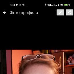 , 43 , -