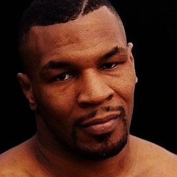 �����, �����-���������, 23 ����