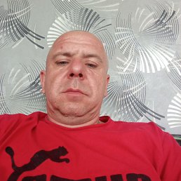 , 41, 