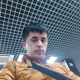 , 33 , 