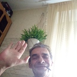 , 61 , 