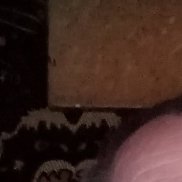 ���������, 59 ���, ������