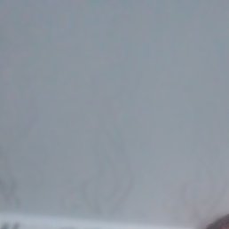 , , 44 