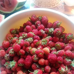 ����, �����-��������, 34 ����