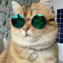 ���� ������, ������, 34 ���� - ��������� 13 ������ 2024 � ������ ���� ����������