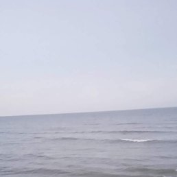 Alijchka, ��������