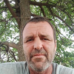 , 43 , 