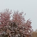 ���� ������, ������, 45 ��� - ��������� 31 ������� 2023 � ������ ���� ����������