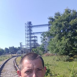 , 30, 