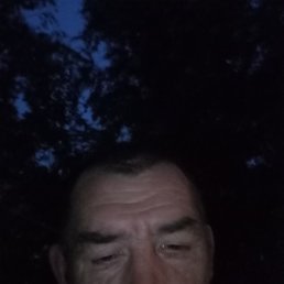 , 46, 