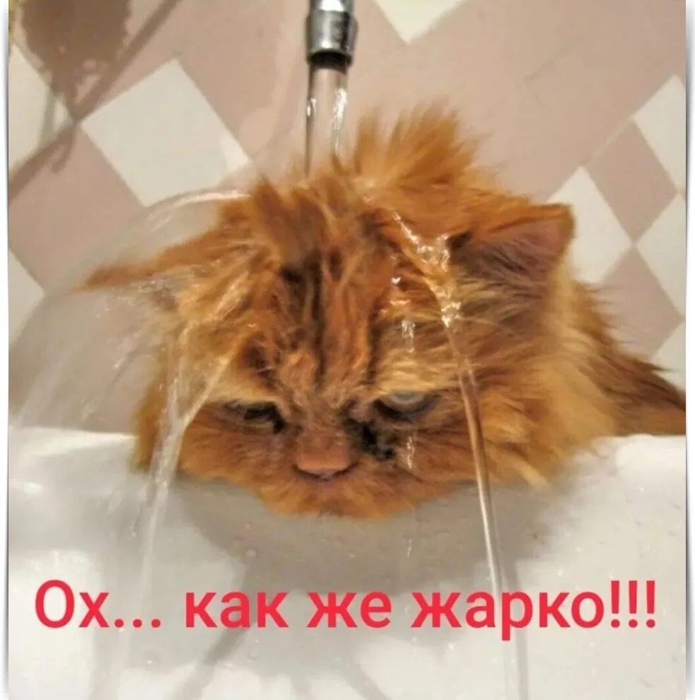    ?    ! ~~~ ~~~ ~~~ ~~~ ~~~ ~~~ ~~~