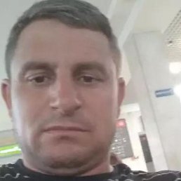 ���, ���������, 46 ���