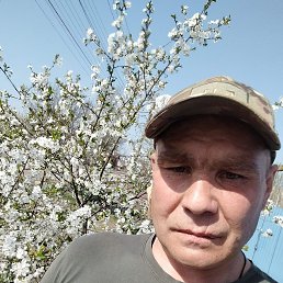, 43 , 