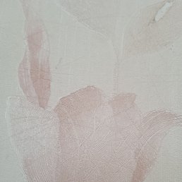 ���� �����, �����������, 44 ���� - ��������� 30 ������� 2023