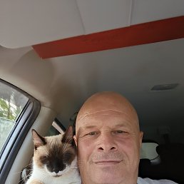 , 53, 