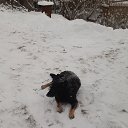 ���� ������, ���� - ��������� 13 ������ 2025 � ������ ������ ��������