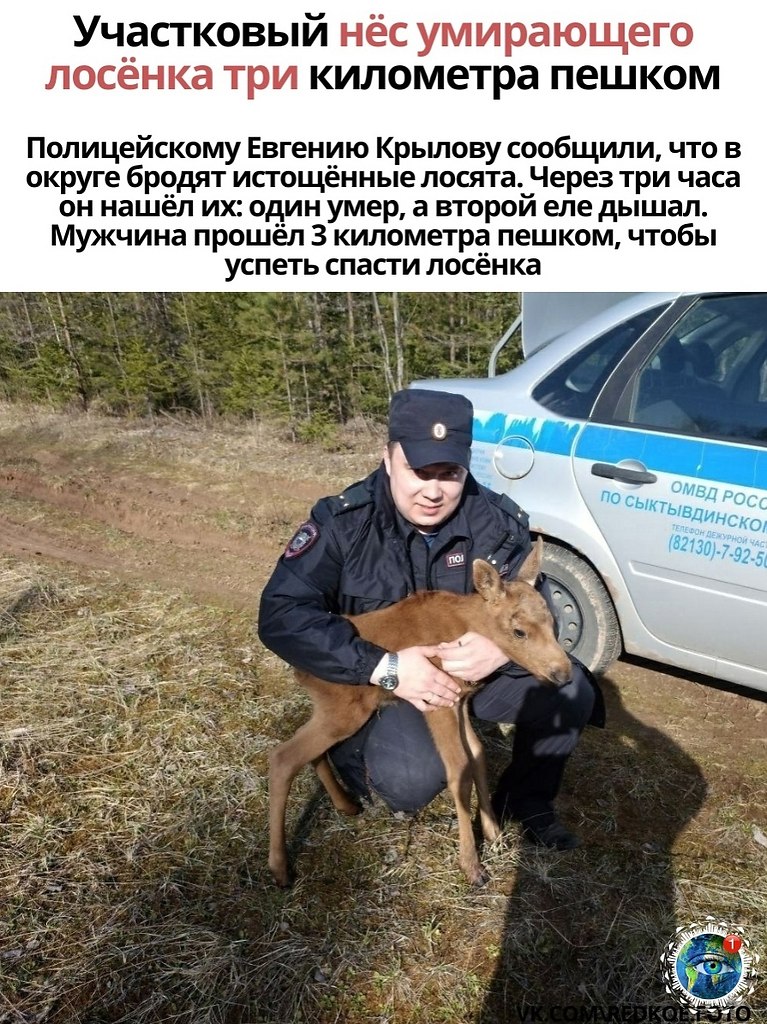 ���o��� c �o���o� �����!