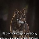   ,  , 62  -  22  2025    