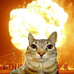 Roman, ���������, 18 ���