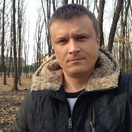 , 41 , 