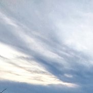 ������, 46 ���, ������