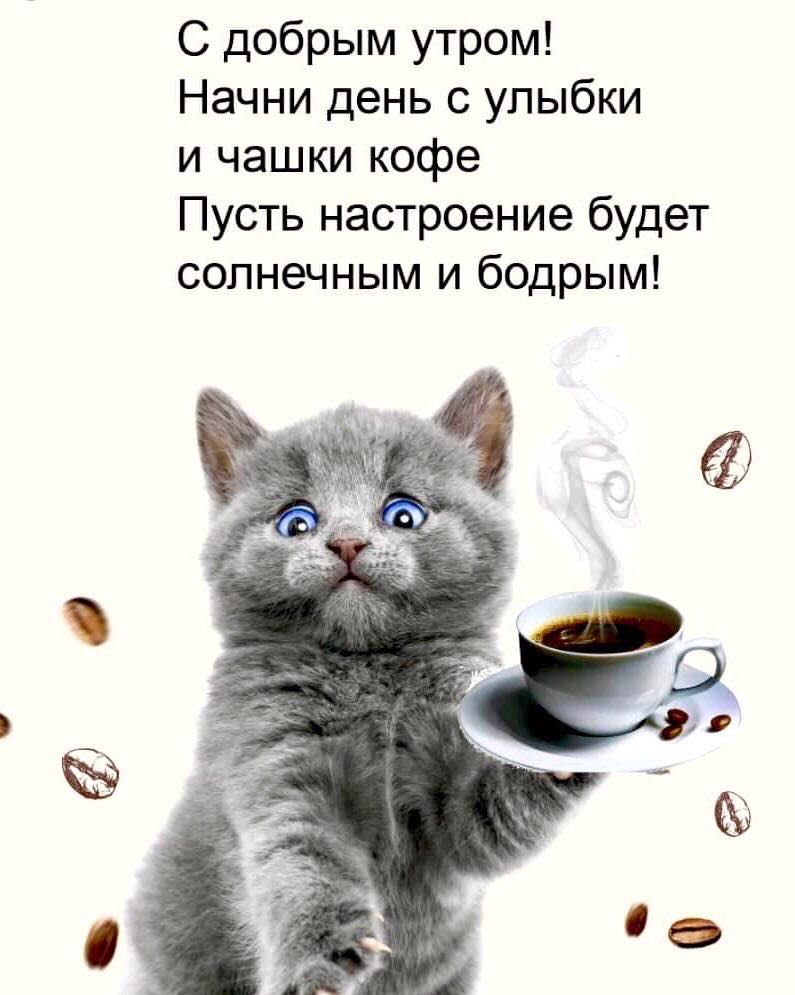  - 13  2025  01:56