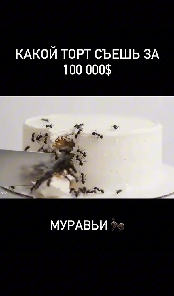 Что ты выберешь? - 2