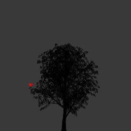  Constantine, , 41  -  19  2025