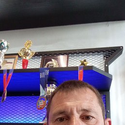 , 41, 