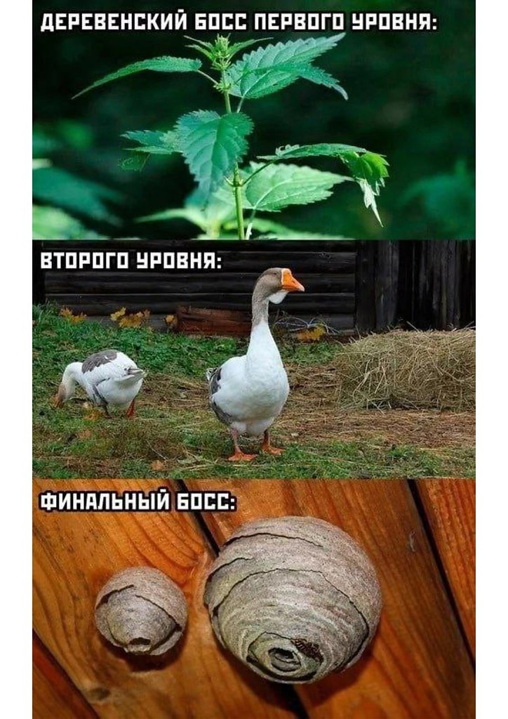 ���� - 28 ��� 2025 � 09:26