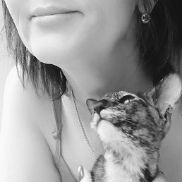 ���� ������, ������������, 52 ���� - ��������� 3 ������� 2026