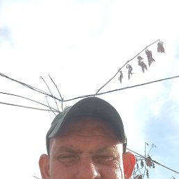 , 35, 